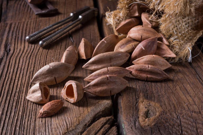 Nueces pili: propiedades nutricionales y beneficios