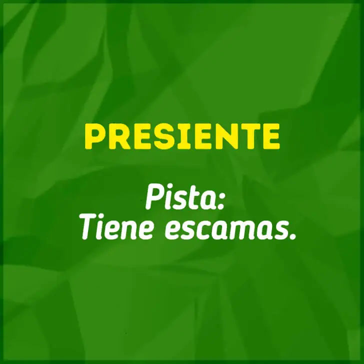 El reto de la serpiente.