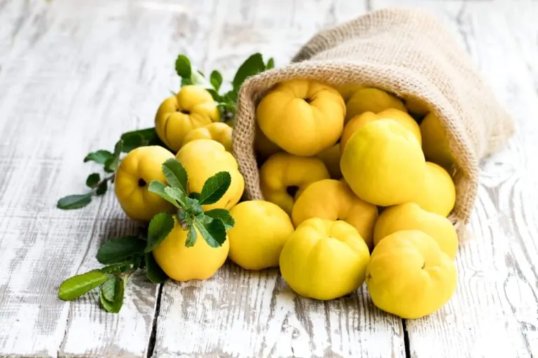 Frutas astringentes: listado, beneficios y usos