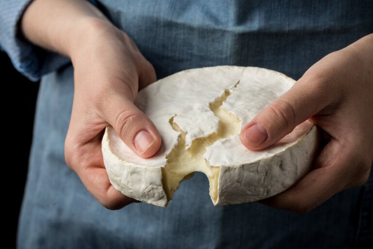 Queso camembert: valor nutricional y beneficios