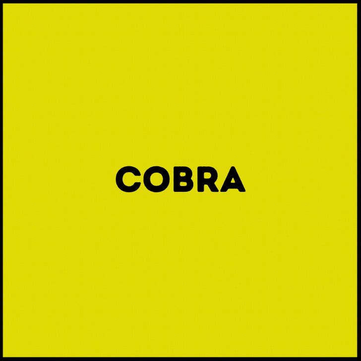 La respuesta de la palabra de la cobra.