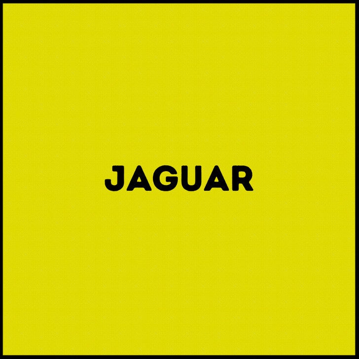 Respuesta del jaguar.