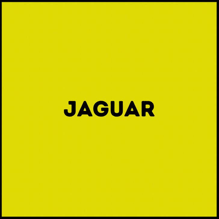 Respuesta del jaguar.