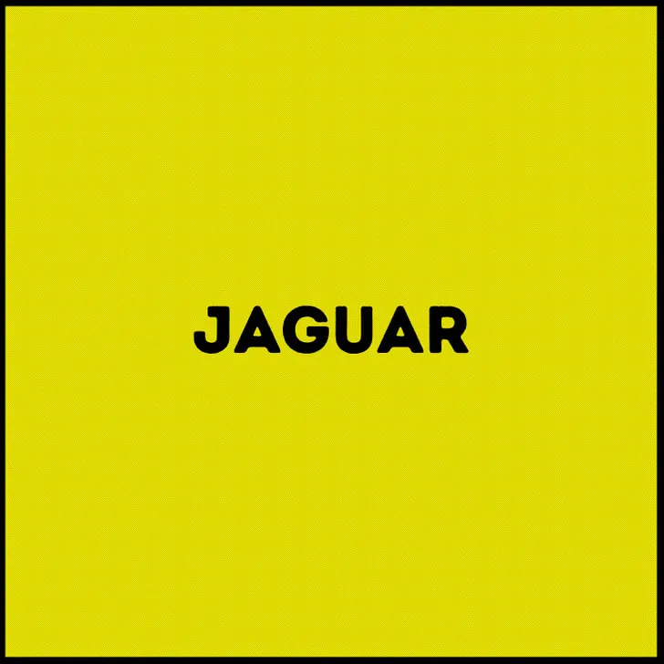 Respuesta del jaguar.