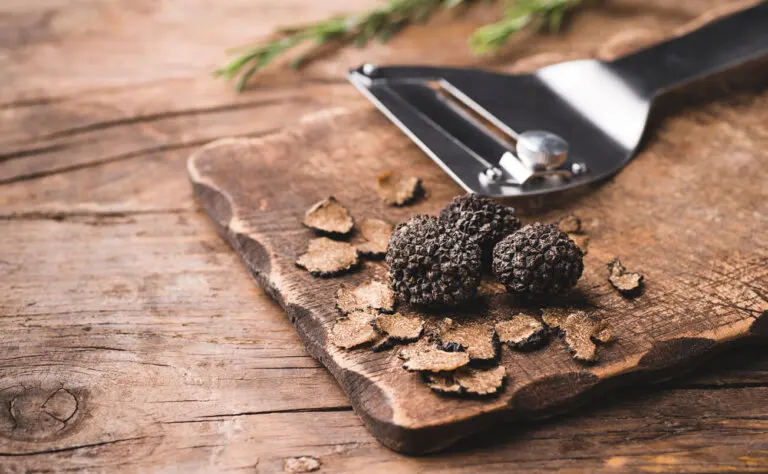 Trufa negra: qué es y cuáles son sus beneficios para la salud