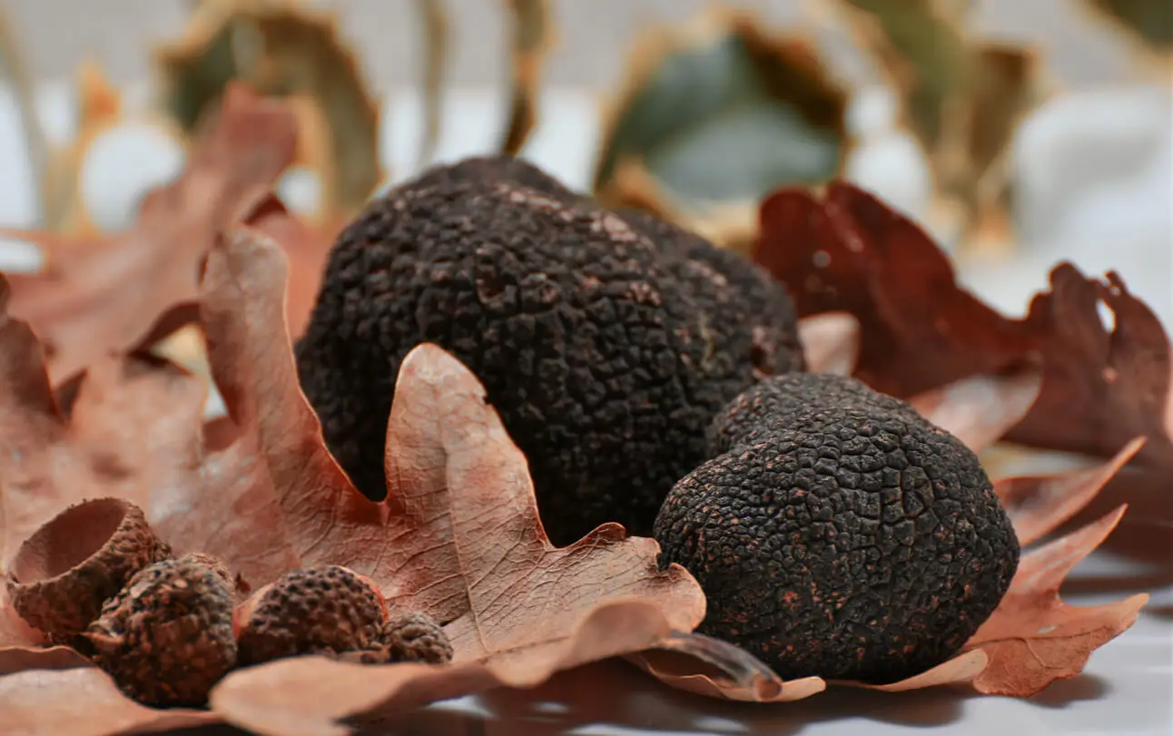 Trufas negras.