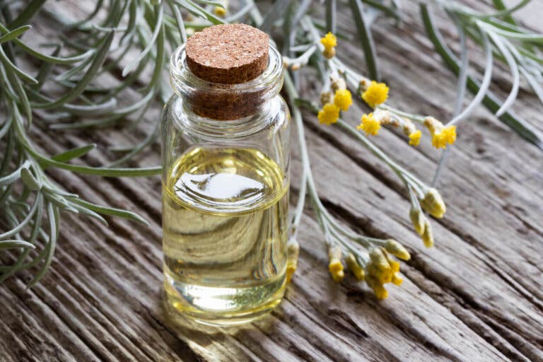 Aceite esencial de helicriso: posibles beneficios y precauciones de uso
