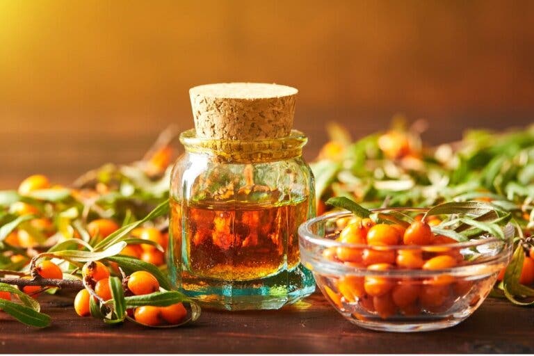 Espino cerval de mar: una planta con beneficios para la piel y la salud