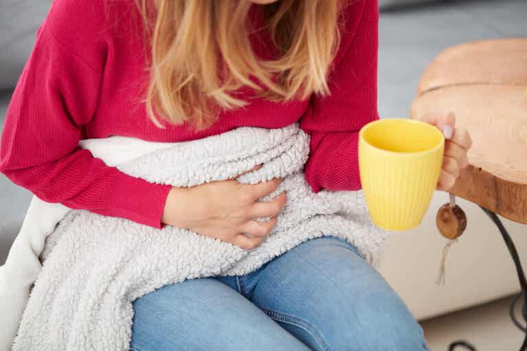 6 infusiones astringentes para calmar la diarrea