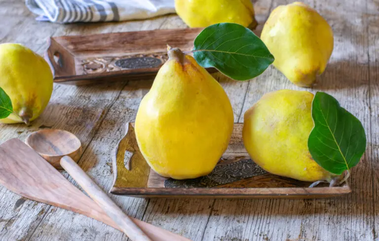Membrillo: valor nutricional, beneficios y usos en la cocina