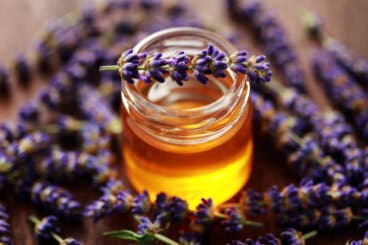 Miel de lavanda: beneficios y usos
