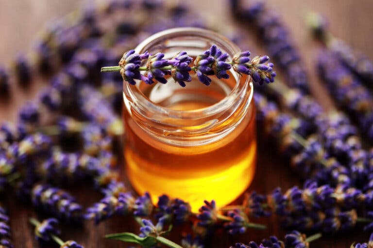 Miel de lavanda: beneficios y usos