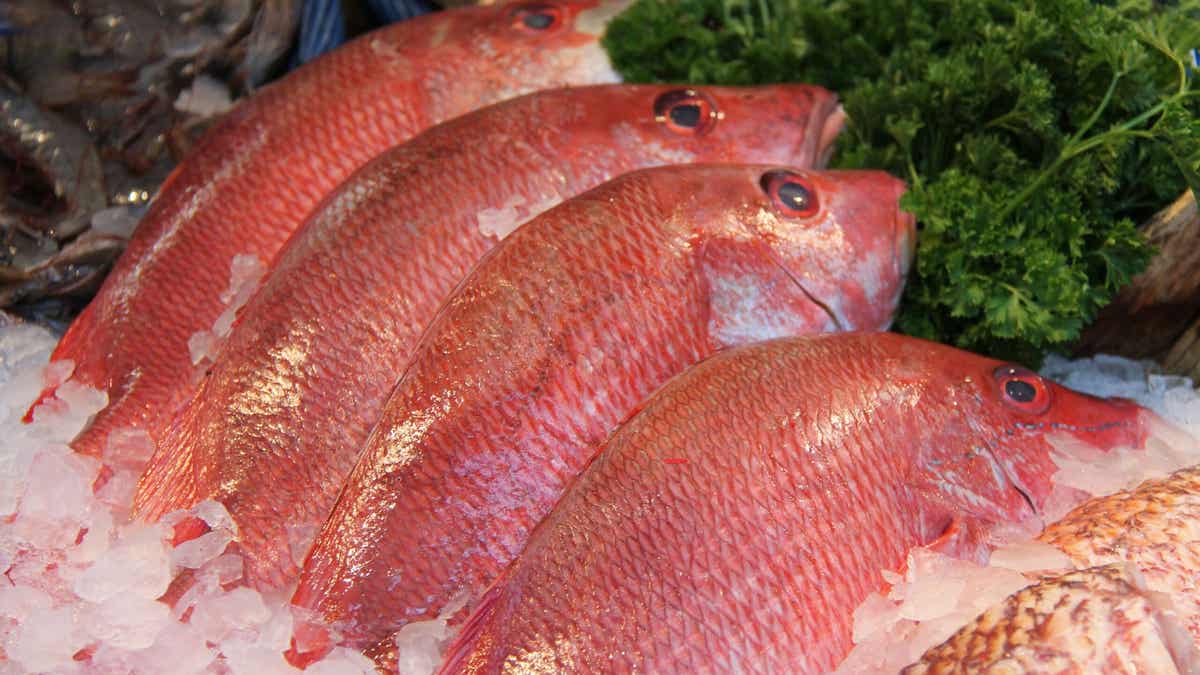 Pargo rojo: valor nutricional, beneficios y consumo - Mejor con Salud