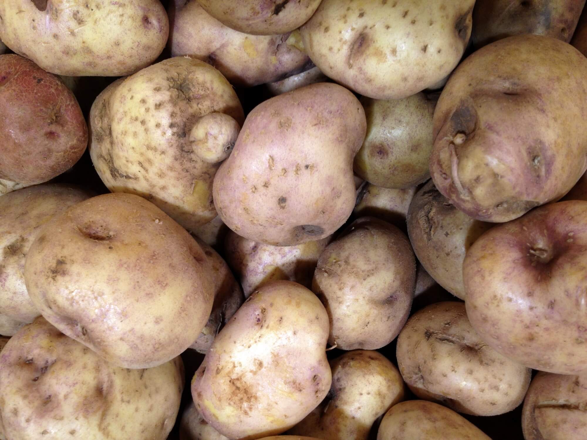 Some potatoes.