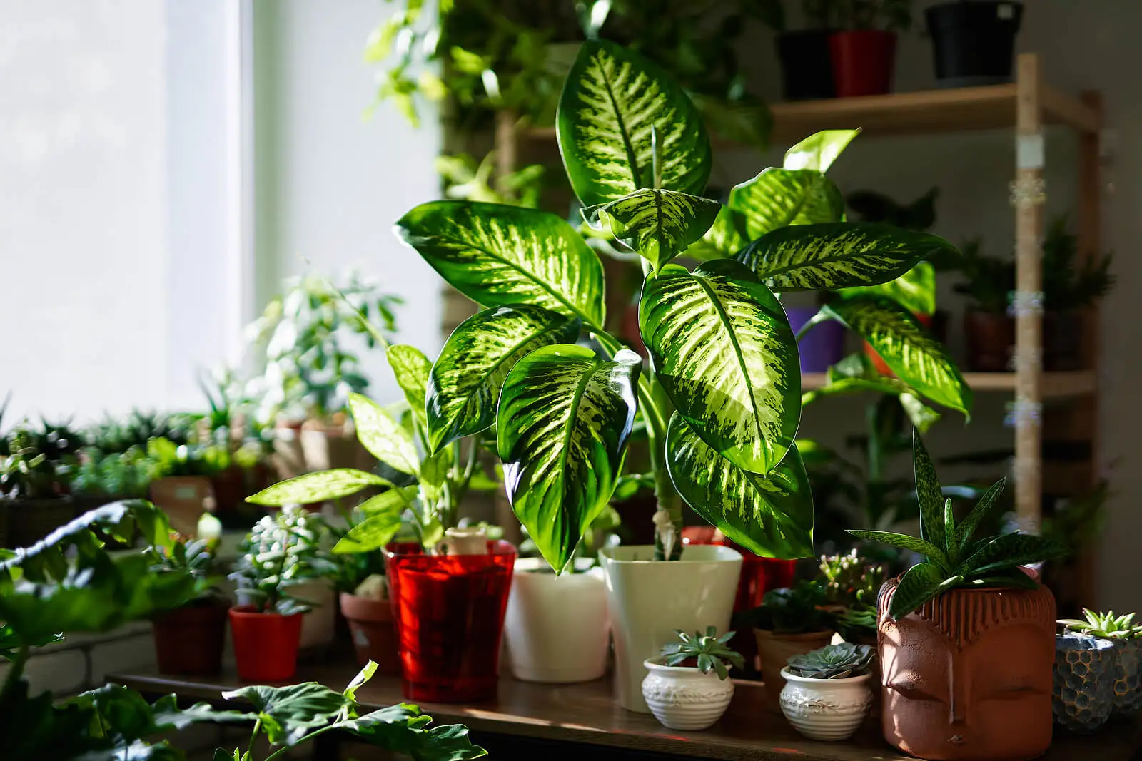Plantes ou fleurs artificielles : quels sont leurs avantages ?