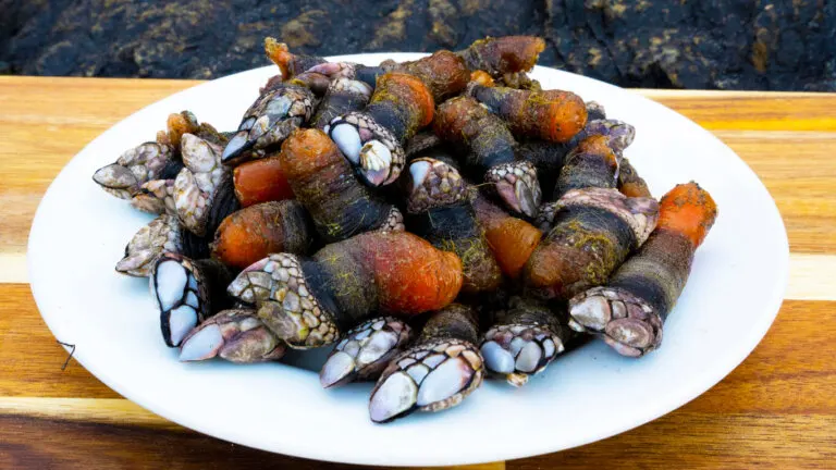 Valor nutricional y beneficios de los percebes