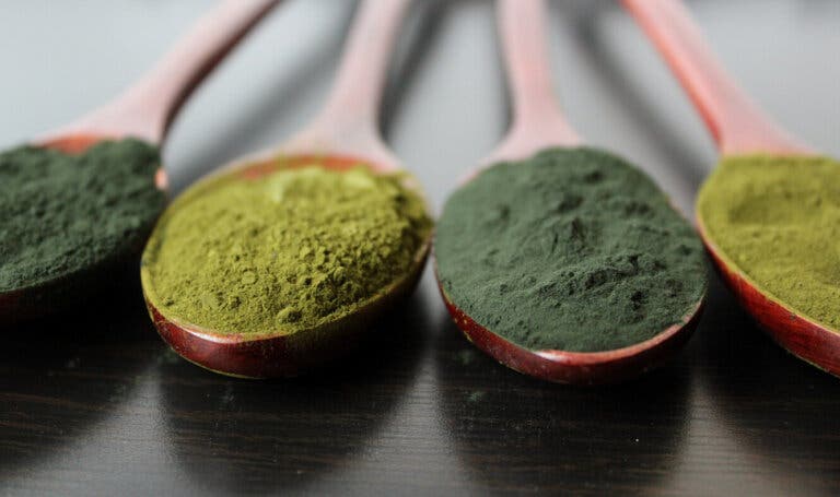 Proteína de algas en polvo: lo que debes saber de este suplemento