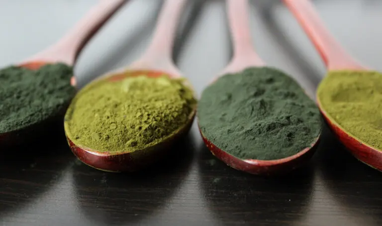 Proteína de algas en polvo: lo que debes saber de este suplemento