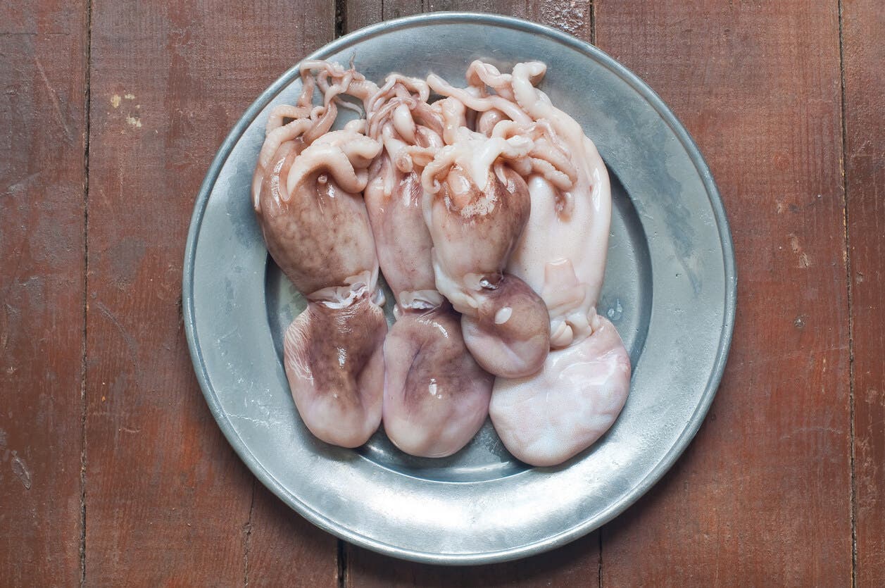 Alimento raro: pulpo vivo.