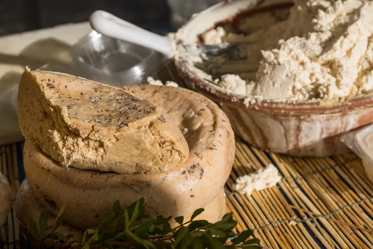 Queso con gusanos es un alimento raro de Cerdeña.