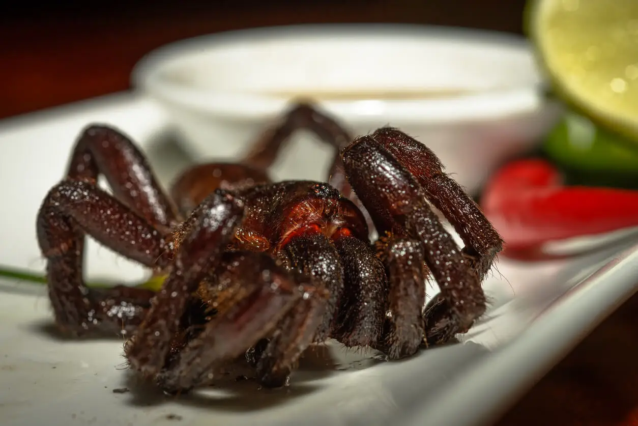 Crunchy tarantula.