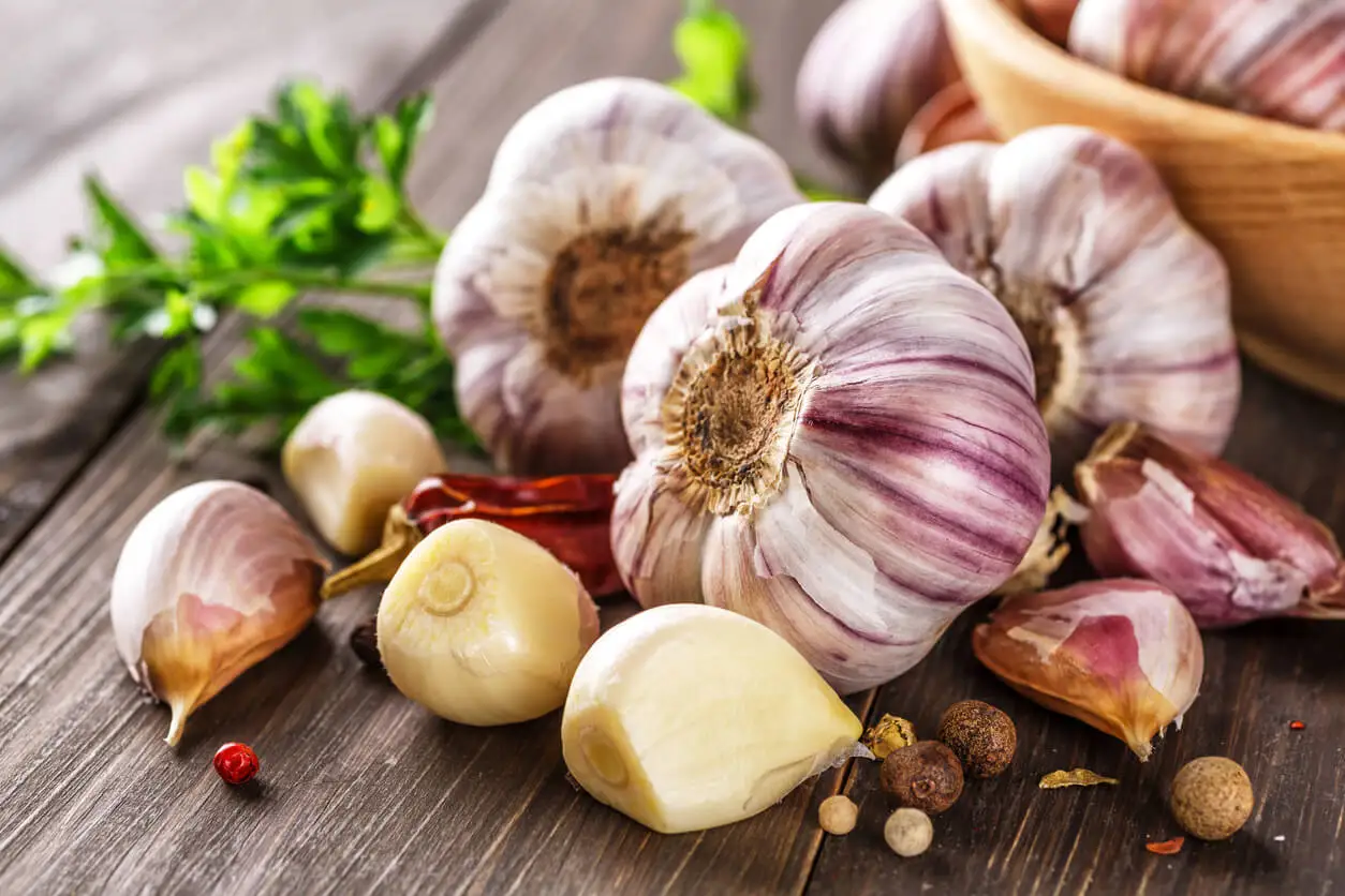 Bulbos de ajo son especias antiinflamatorias.