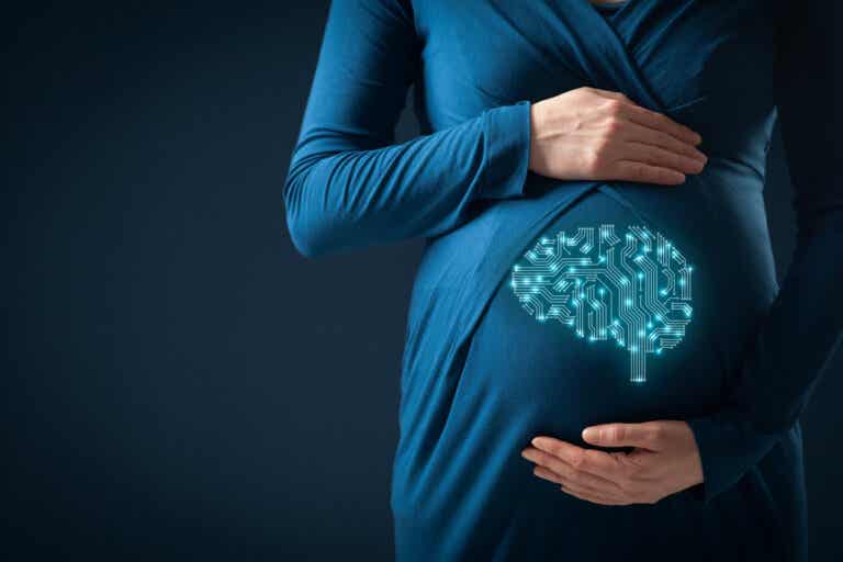 Embarazo provoca cambios en el cerebro para promover el vínculo con los hijos, según estudios