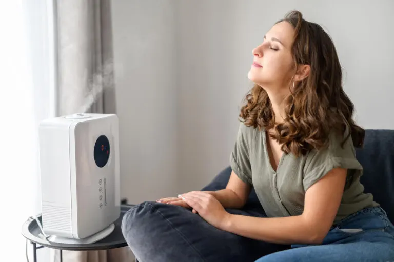 Vaporizador y humidificador: ¿cuáles son sus diferencias?