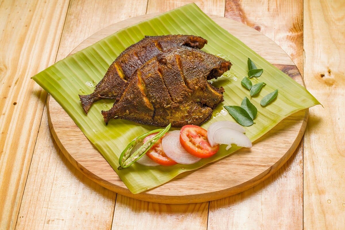 hur man förbereder Palometa