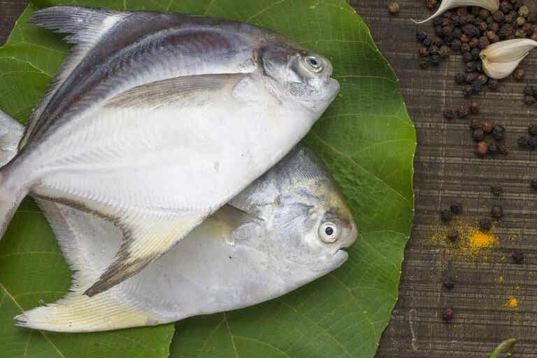 Palometa, un pescado abundante en proteínas