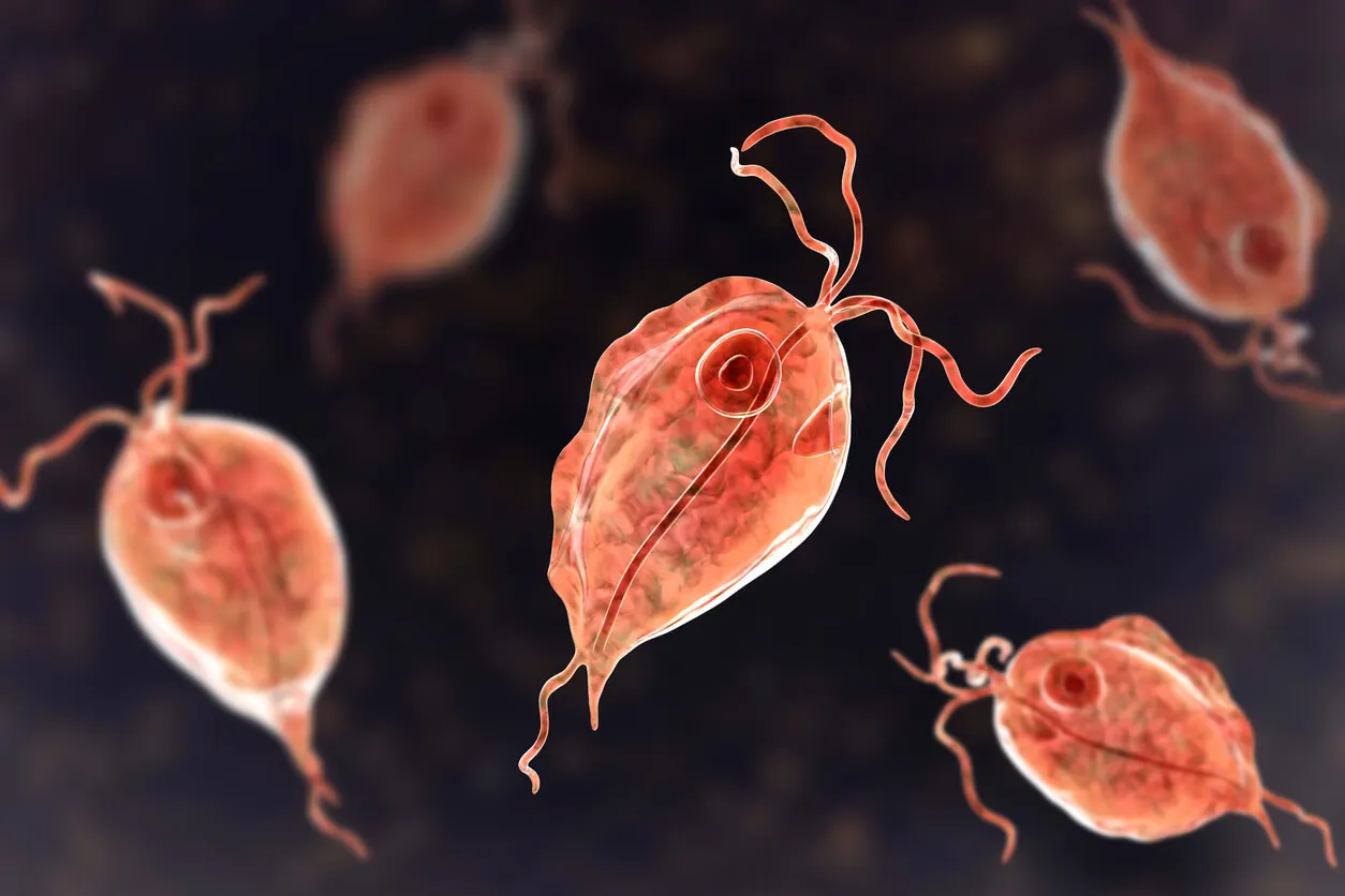 Trichomoniasis bij vrouwen