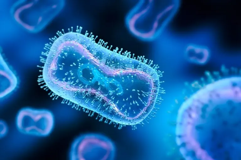 Los 13 virus más peligrosos para el ser humano