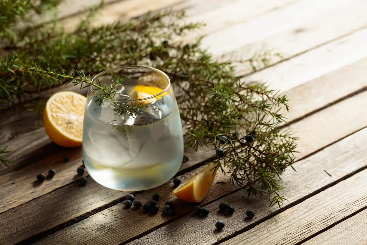 Wacholder - Glas Gin mit Wacholderzweig
