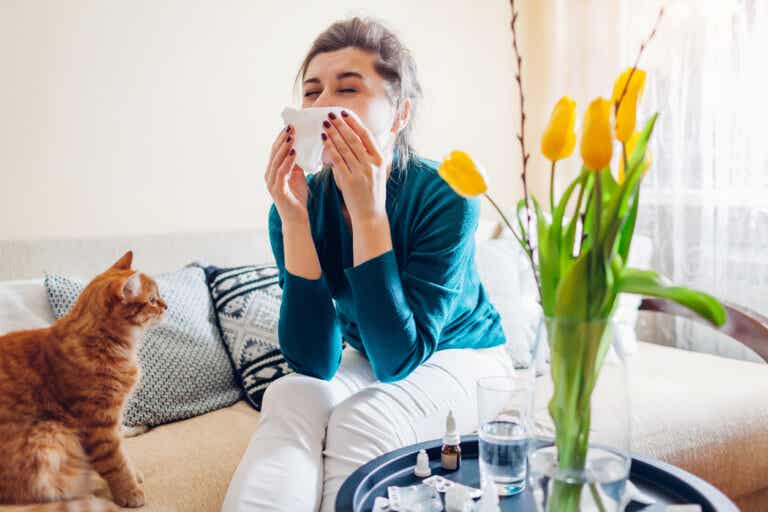 15 plantas que no deberías tener en casa si sufres de alergia