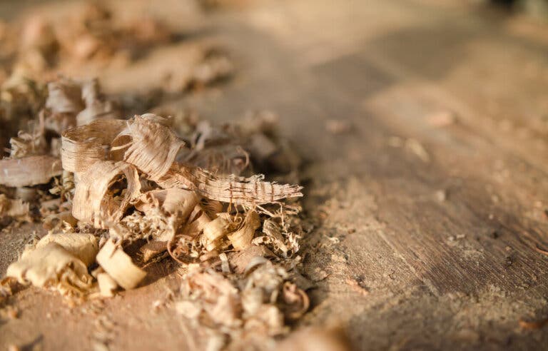 8 usos prácticos que le puedes dar al aserrín en el hogar