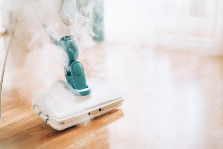 Limpieza del hogar con vapor de agua: ventajas y desventajas