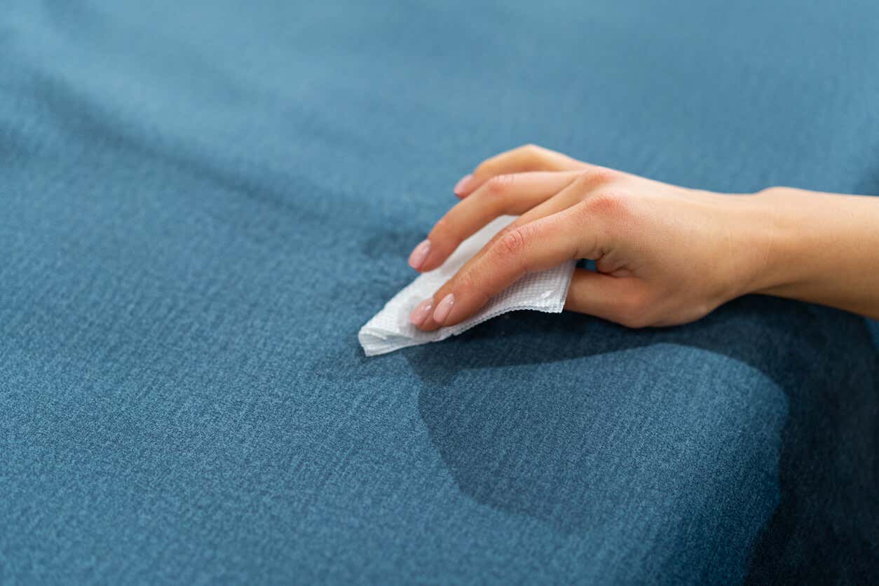 ¿Cómo hacer un limpiador de tapicería casero?