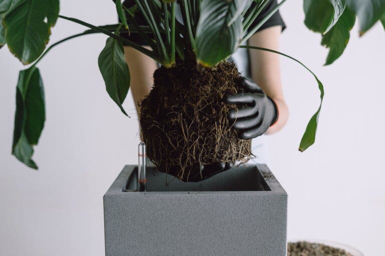 Matera inteligente: mira cómo funciona y los beneficios para tus plantas