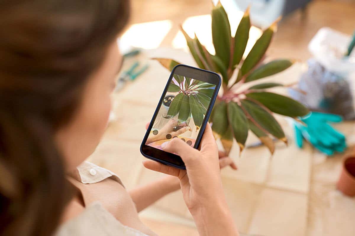 O pote inteligente vem com um aplicativo de celular que envia alertas sobre os cuidados com a planta.