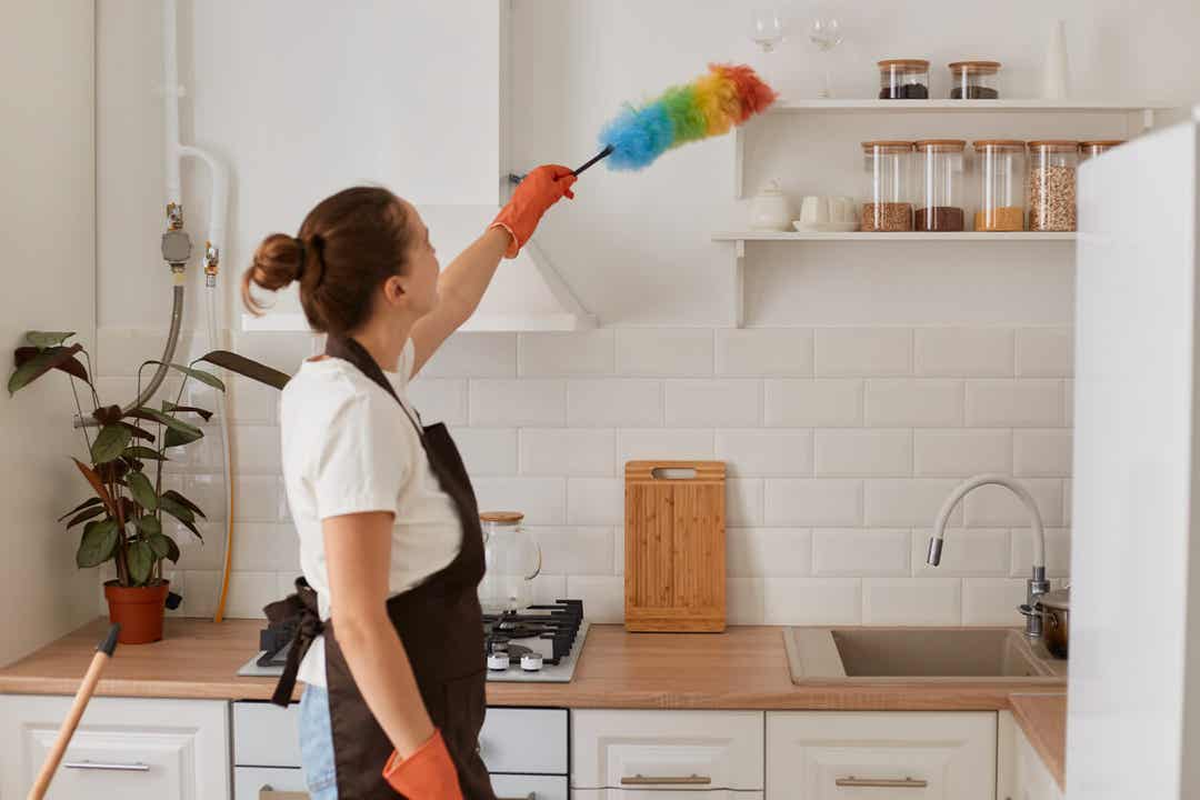 Veja Como Limpar E Desinfetar Utensílios De Limpeza 3 Espanador sintético que deve ser desinfetado.