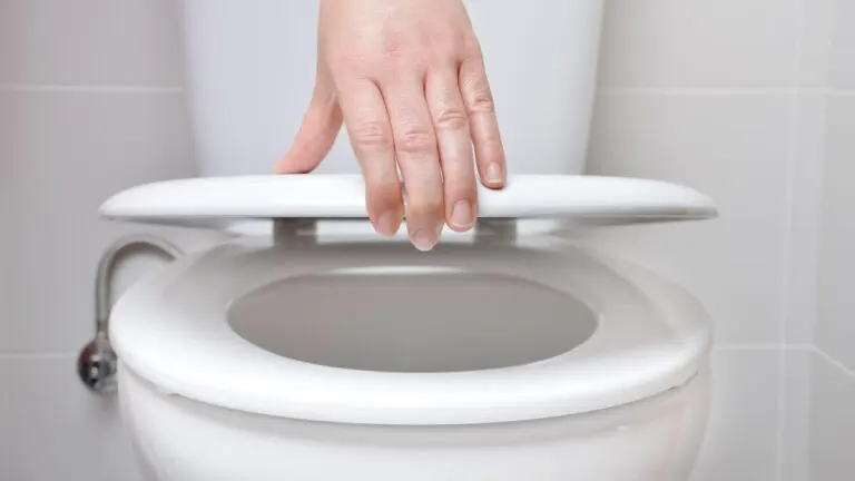 Cómo destapar un inodoro: fácil, rápido y limpio