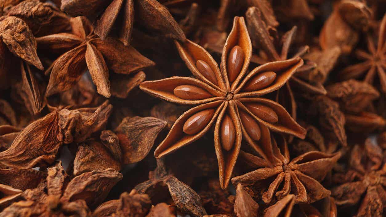 Pianta di anice coltivazione e cura Pianta di anice coltivazione e cura