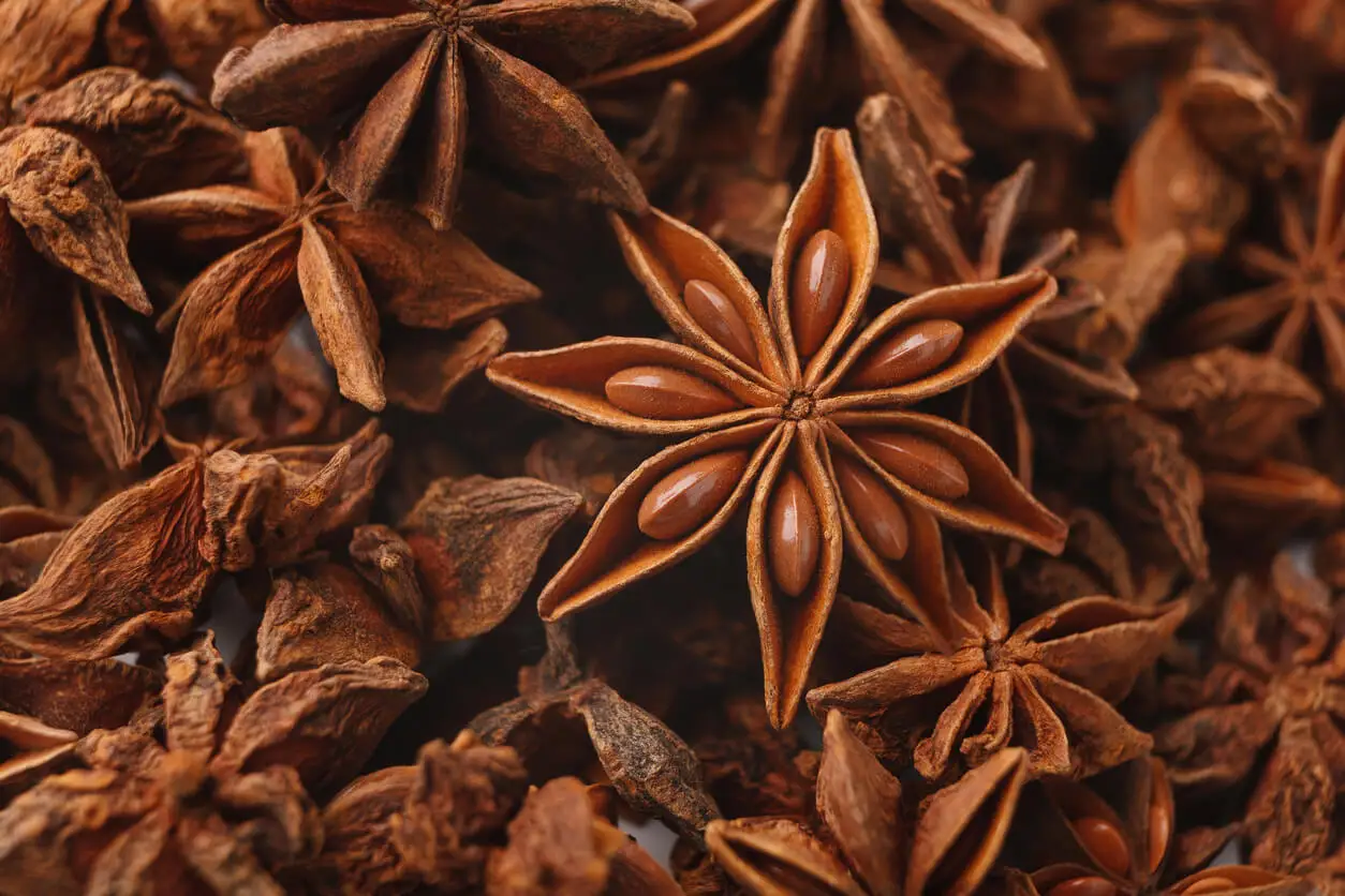 Star anise.