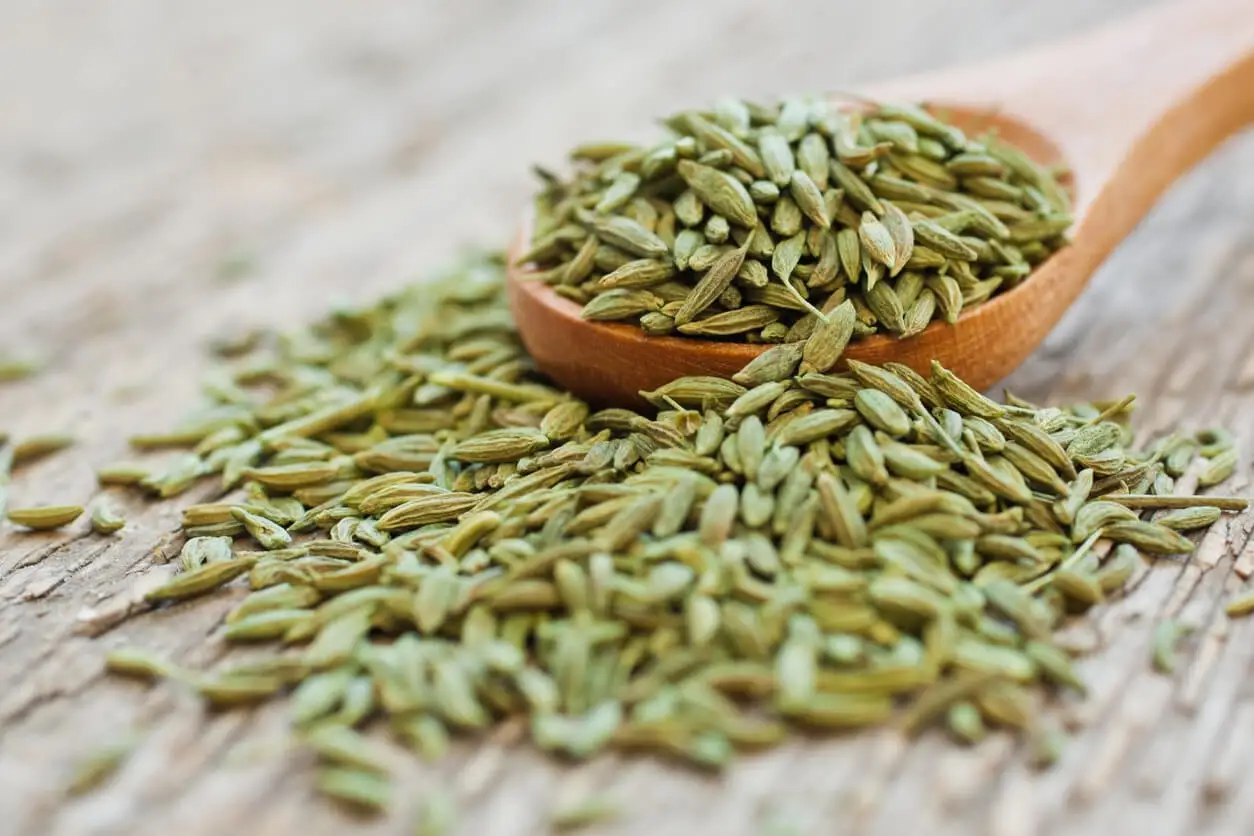 Anise plant.