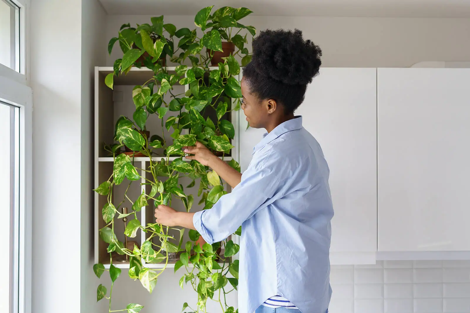 Decorar con plantas