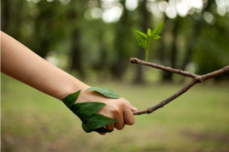 Las 14 mejores frases para amantes de la naturaleza, las plantas y la vida