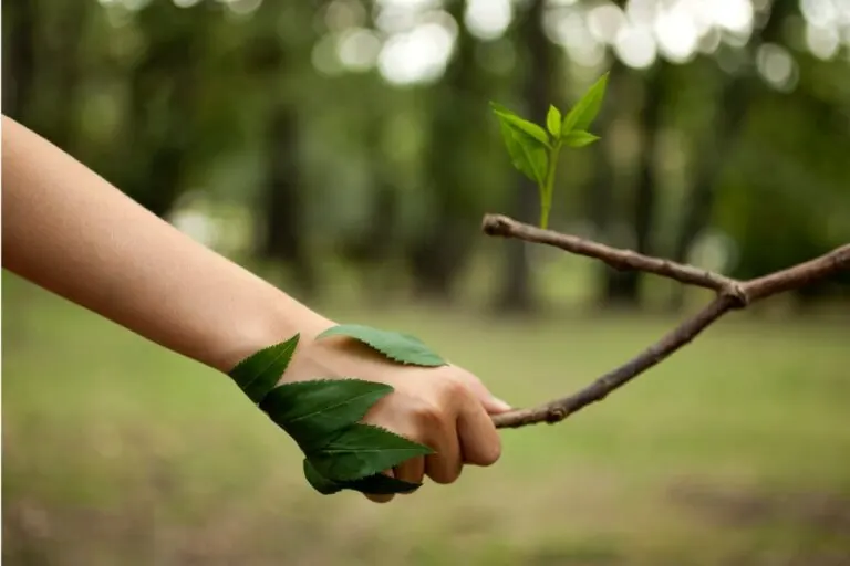Las 14 mejores frases para amantes de la naturaleza, las plantas y la vida