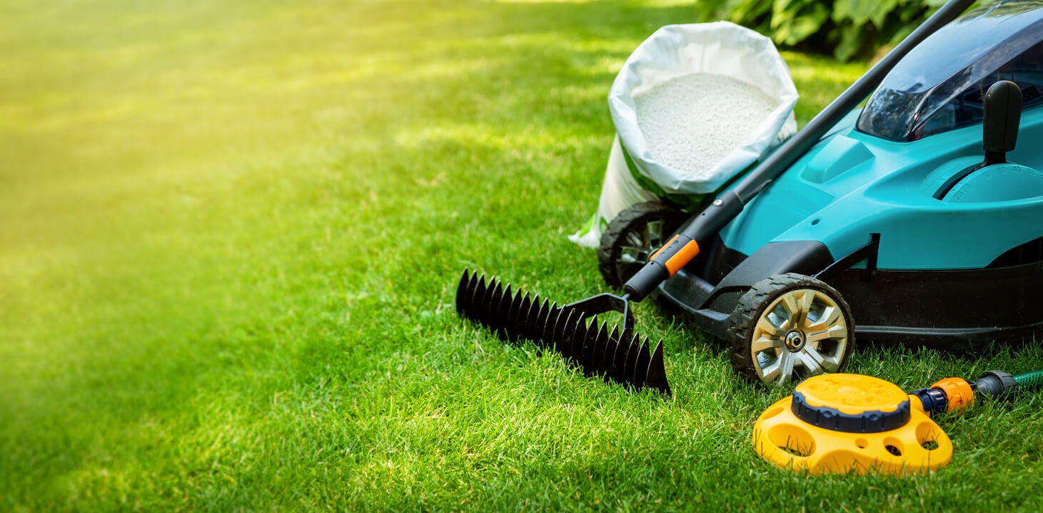 Simple steps to maintain a green and healthy lawn in spring Time News