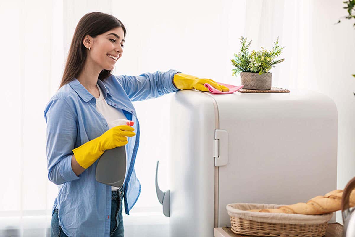 Limpia los electrodomésticos por dentro, por fuera y en las paredes en las que reposan.