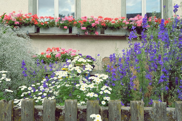 10 plantas con flores altas para dar verticalidad a tu jardín